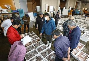 仲買人の中心で競りを仕切る寺泊漁協の平松要介さん(中央)。この日はタコやノドグロが並んだ=2月末、長岡市の寺泊港
