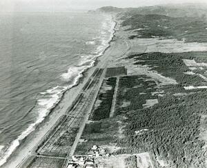 東京電力柏崎刈羽原発が着工する前の荒浜砂丘＝１９７０年１１月