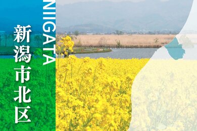 湿地自治体の未来考えませんか ビュー福島潟（新潟市北区）で10月13日