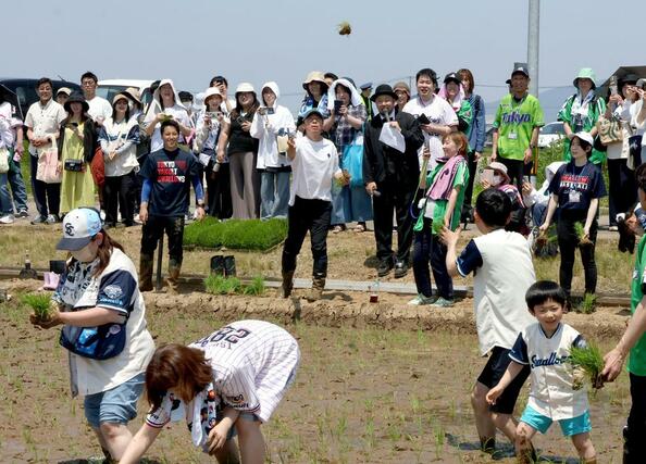 東京ヤクルトスワローズの高津臣吾前監督を招いた田植えイベント＝燕市吉田西太田