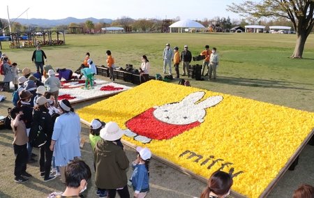 チューリップのうさぎさん 新潟日報デジタルプラス