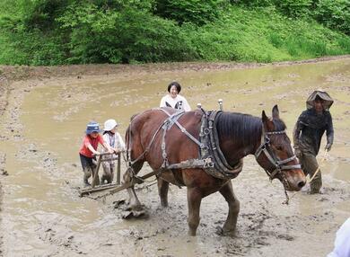 昭和レトロ　馬耕　水田代かき用　馬鍬 昭和レトロ 馬耕 水田代かき用 馬鍬 昭和レトロ 馬耕 水田代かき用