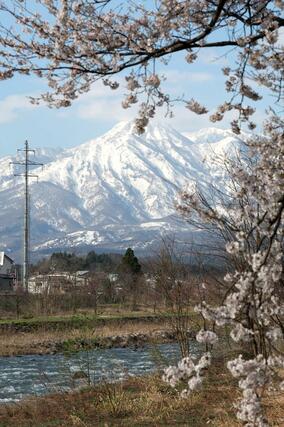 妙高山に現れた雪形「跳ね馬」８日、妙高市