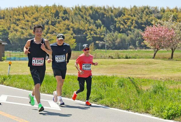 佐渡トキマラソンで春の島内を駆け抜けるランナー＝２６日、佐渡市