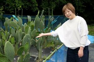 サボテンを栽培する出口美紀さん=5月、愛知県春日井市