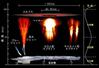 落雷に伴って雲の上空で起きる発光現象「スプライト」などの発生イメージ(佐藤光輝・北海道大教授提供)