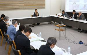 新潟が目指すべきビジョンを策定した新潟アニメ推進協議会＝１７日、新潟市中央区