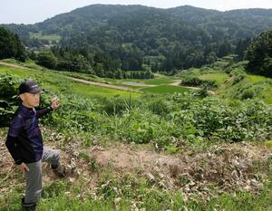 耕作放棄地となった田んぼを見つめる太田修二さん。耕作を続ける水田(奥)と比べても、雑草の伸びが目立つ=上越市牧区高尾