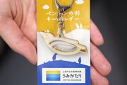 マゼランペンギンの羽根入りキーホルダー、うみがたり（上越市）が限定販売！ふるさと納税返礼品にも