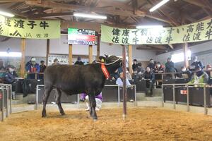 生産者らが見守る中で行われた2025年最初の子牛の競り=4月2日、佐渡市北川内
