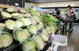価格高騰を受け、イオンスタイルラブラ万代店では小分けしたキャベツの売れ行きが好調だ=5月21日、新潟市中央区