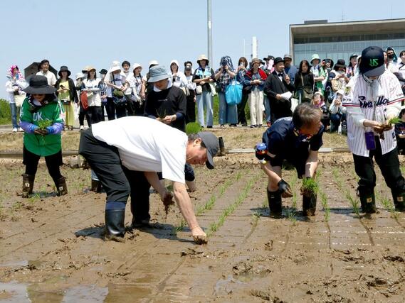 東京ヤクルトスワローズの高津臣吾前監督を招いた田植えイベント＝燕市吉田西太田
