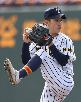 日本文理－帝京長岡　帝京長岡の先発鈴木大翔＝２３日、三条市月岡４の三条パール金属スタジアム