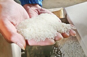 価格が高止まりするコメ