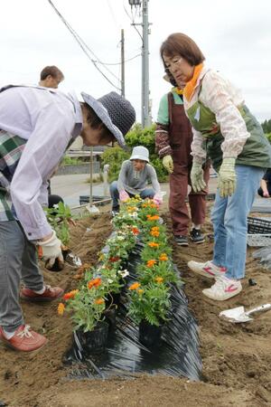 ケアセンター花の里かつぼの職員と入居者が、住民と共に花の苗を植えた花壇作りの作業=長岡市水穴町