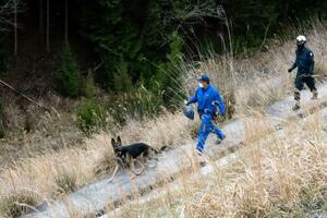 　靴が発見された現場付近を調べる京都府警の捜査員＝１２日午後６時１８分、京都府南丹市