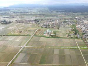 新潟県の田園地帯