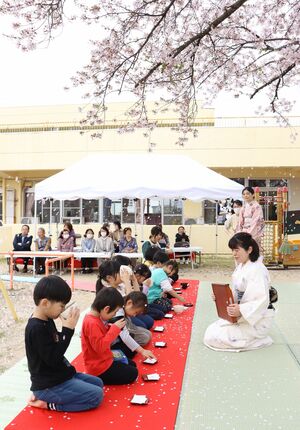 桜の花びらが舞い散る中でお茶会を楽しんだ園児たち=胎内市黒川