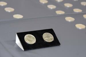 　偽造された昭和天皇在位６０年記念の１万円銀貨＝７日午後、警視庁小岩署