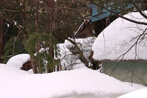 雪の重みで倒壊したとみられる住宅＝３日、上越市三和区岡田