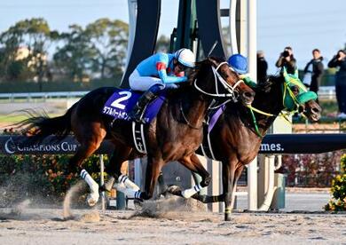 ダブルハートボンドが優勝 競馬のG1チャンピオンズカップ | 新潟日報
