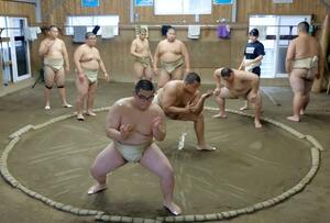 海洋高相撲部OB大の里の夏場所優勝に刺激され、稽古に熱が入る現役部員たち=5月28日、糸魚川市能生