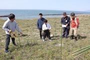 胎内市「はまなすの丘」で外来植物の除去方策探り、ハマナス再生への取り組み始まる　新潟食農大と市が連携