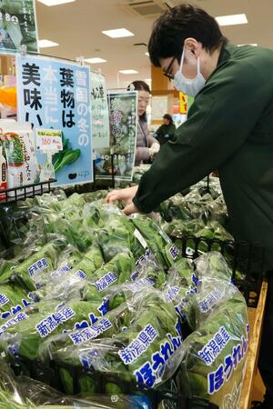 ただいまーとの「寒締め菜っ葉フェア」売り場=三条市福島新田