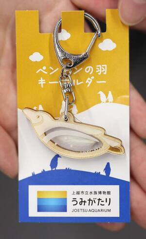 マゼランペンギンの羽根が入ったキーホルダー