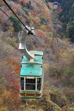 行楽の秋、多くの乗客を運ぶ弥彦山ロープウェイ。冬場の誘客に力を入れる＝弥彦村弥彦