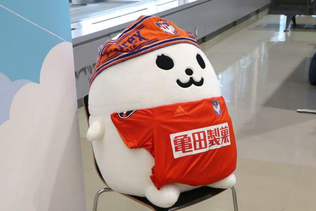 アルビレックス新潟グッズが身に付けられた新潟空港のキャラクター