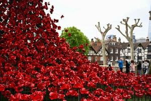 ロンドン塔に展示されたポピーの造花=5月、ロンドン(共同)