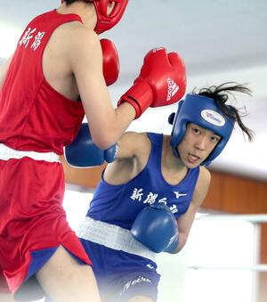 男子フライ級決勝 果敢に攻める新潟向陽の伊原音瑠=新潟南高
