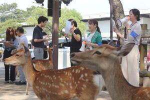 奈良公園でシカに直接触れないよう注意を呼びかける関係者ら=8月、奈良市