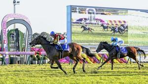 第50回エリザベス女王杯を制したレガレイラ(左)と2着のパラディレーヌ=京都競馬場