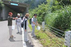 県境近くの国道252号で落ちているごみを拾う参加者=魚沼市大白川