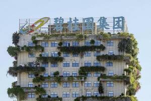 中国不動産大手、碧桂園の本部ビル=2023年11月、中国広東省仏山市(共同)