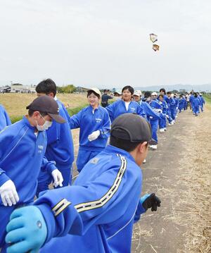 大凧合戦で凧の糸を引く中之島中学校の生徒たち=長岡市中之島の刈谷田川堤防