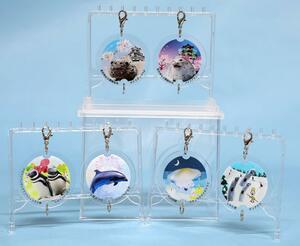 上越市立水族博物館うみがたりがカプセルトイで販売しているキーホルダー