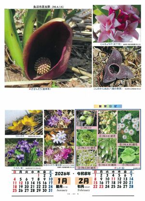 魚沼市内外の花々を紹介する「花暦」２０２６年版