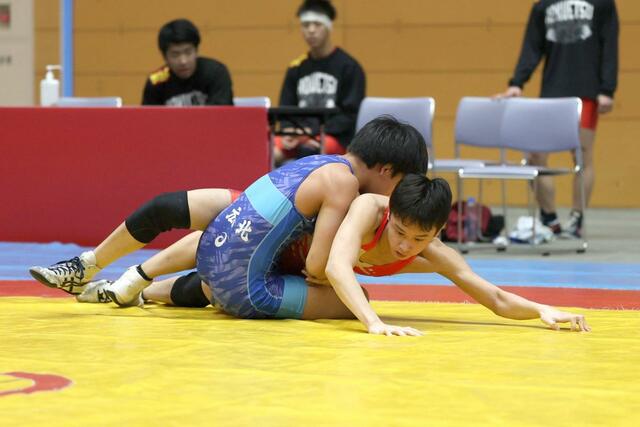 団体戦２回戦　北越－帯広北（北海道）　相手の攻勢を耐える傳田航生（赤・北越）＝新潟市東総合スポーツセンター