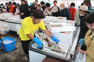 多くの家族連れでにぎわった「おさかな祭り」=柏崎市番神1