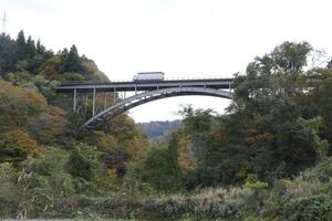 修繕工事のため来年5月から約半年間、通行止めになる赤倉大橋=上越市大島区