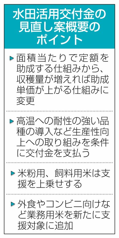主食用米からの転換支援、生産性向上を条件に助成金増額…見直し案概要