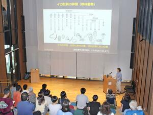 イカの繁殖など生態について解説した講演会=長岡市大手通2