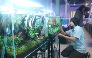 来春開校予定の「国際アクアリウム・海洋生物大学校」の内覧会=20日、新潟市中央区古町通5