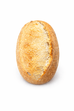 販売予定のパン➀grains.bread