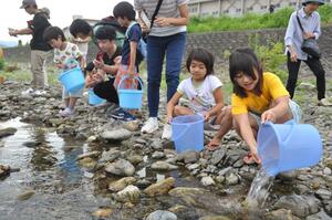 佐梨川にイワナの稚魚を放流する子どもたち=6月30日、魚沼市佐梨
