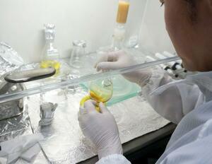 　小惑星ベンヌの試料を分析する様子（古川善博東北大教授提供）