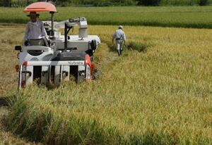 　コメの収穫作業＝８月、新潟県三条市